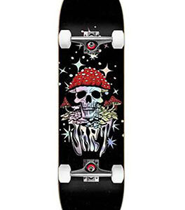 SKATE COMPLETO HOFFMAN JART